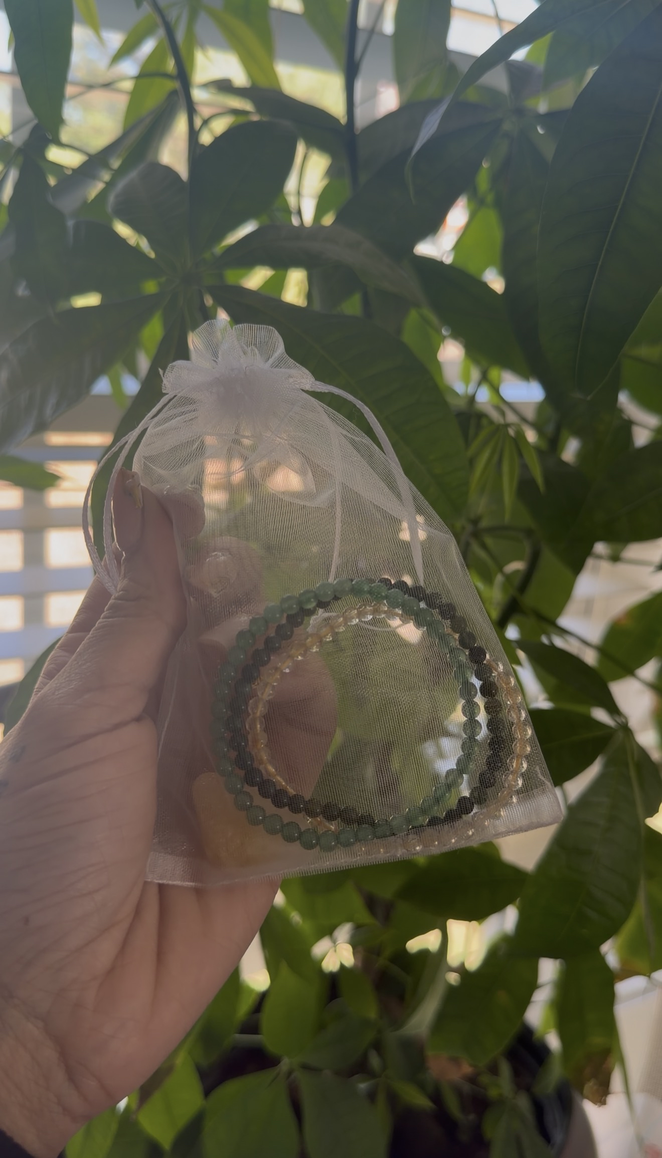 Hand holding a clear  bag with green beads against a blurred natural background