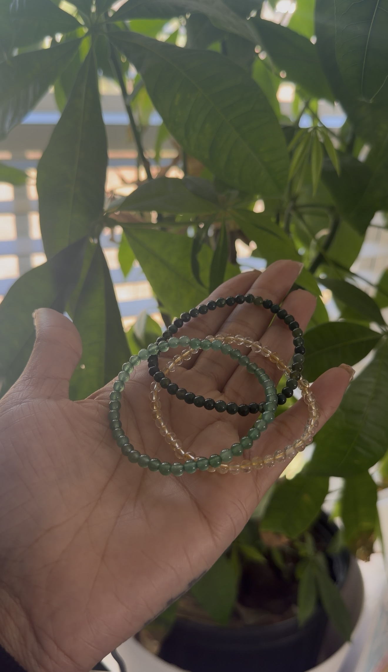 Hand holding three beaded bracelets with a blurred green plant background